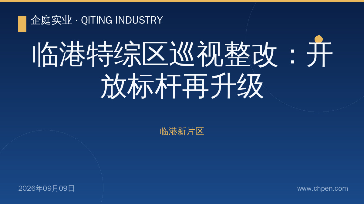 临港特综区巡视整改:开放标杆再升级