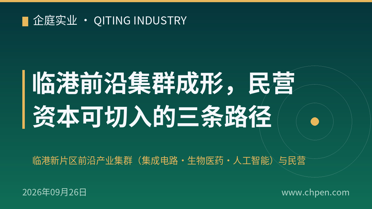 临港前沿集群成形,民营资本可切入的三条路径