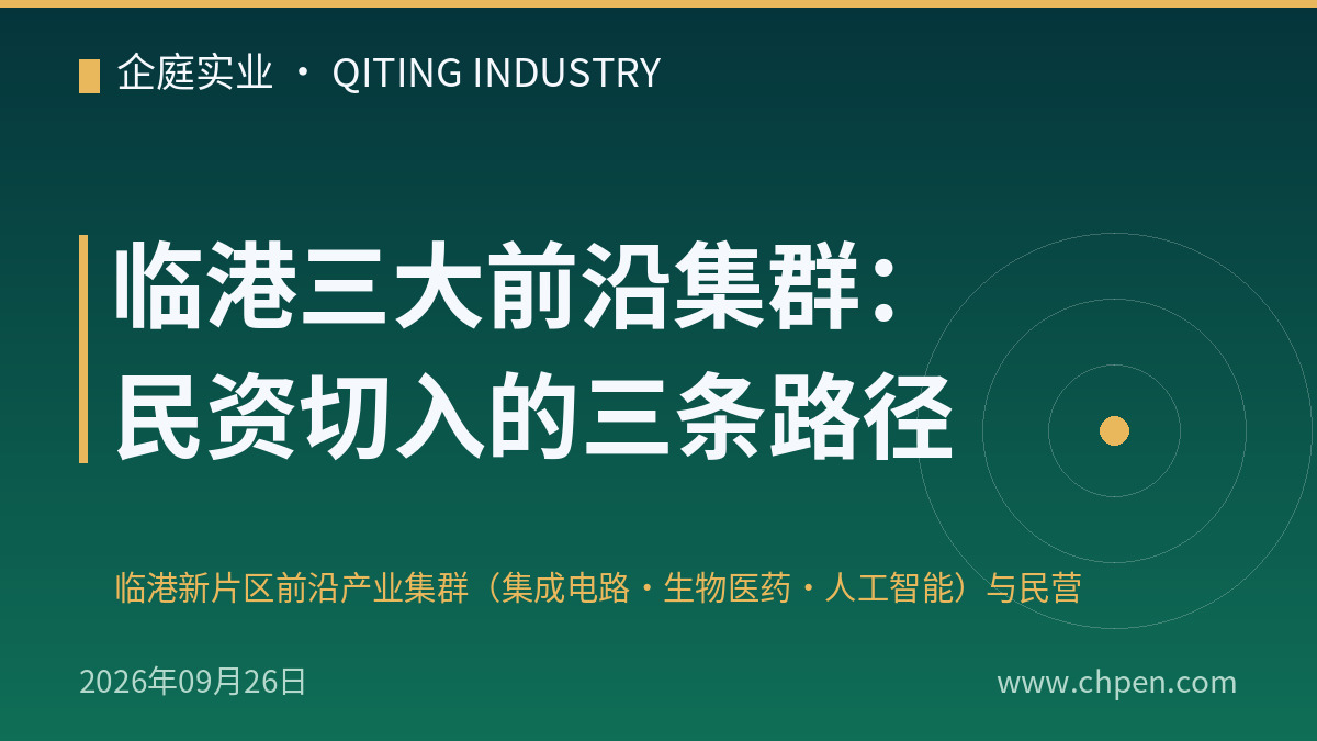 临港三大前沿集群:民资切入的三条路径