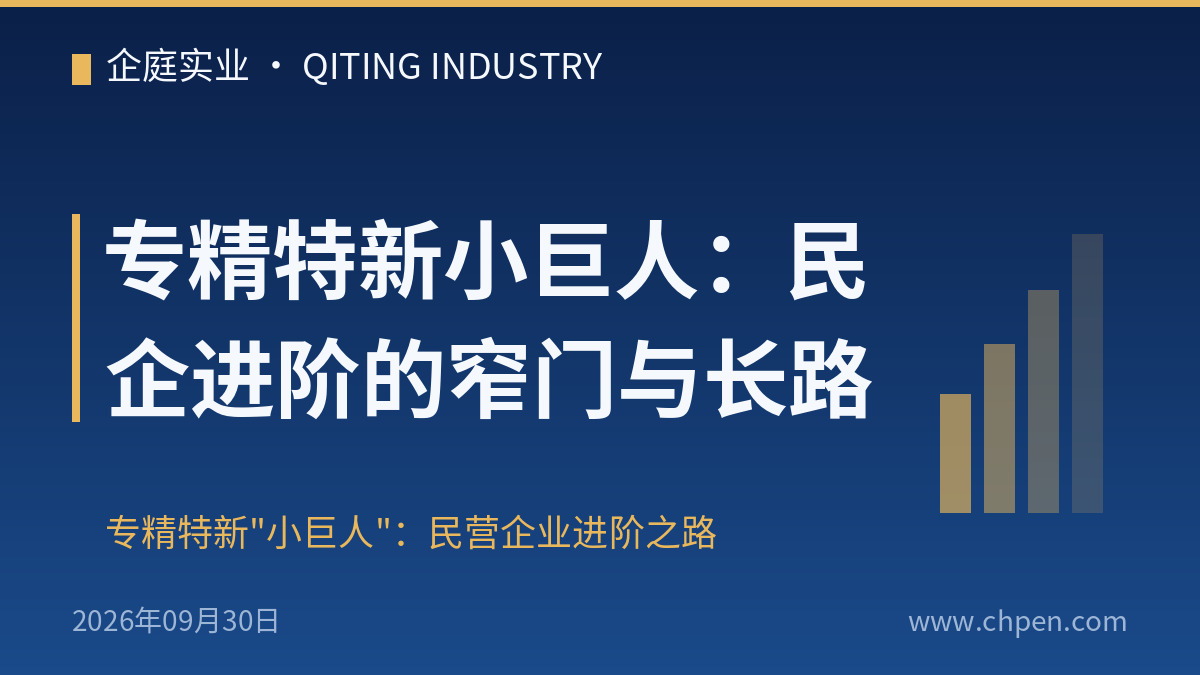 专精特新小巨人:民企进阶的窄门与长路