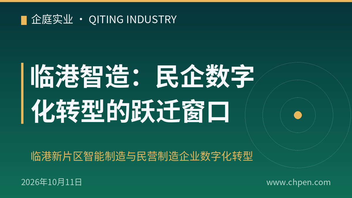 临港智造:民企数字化转型的跃迁窗口