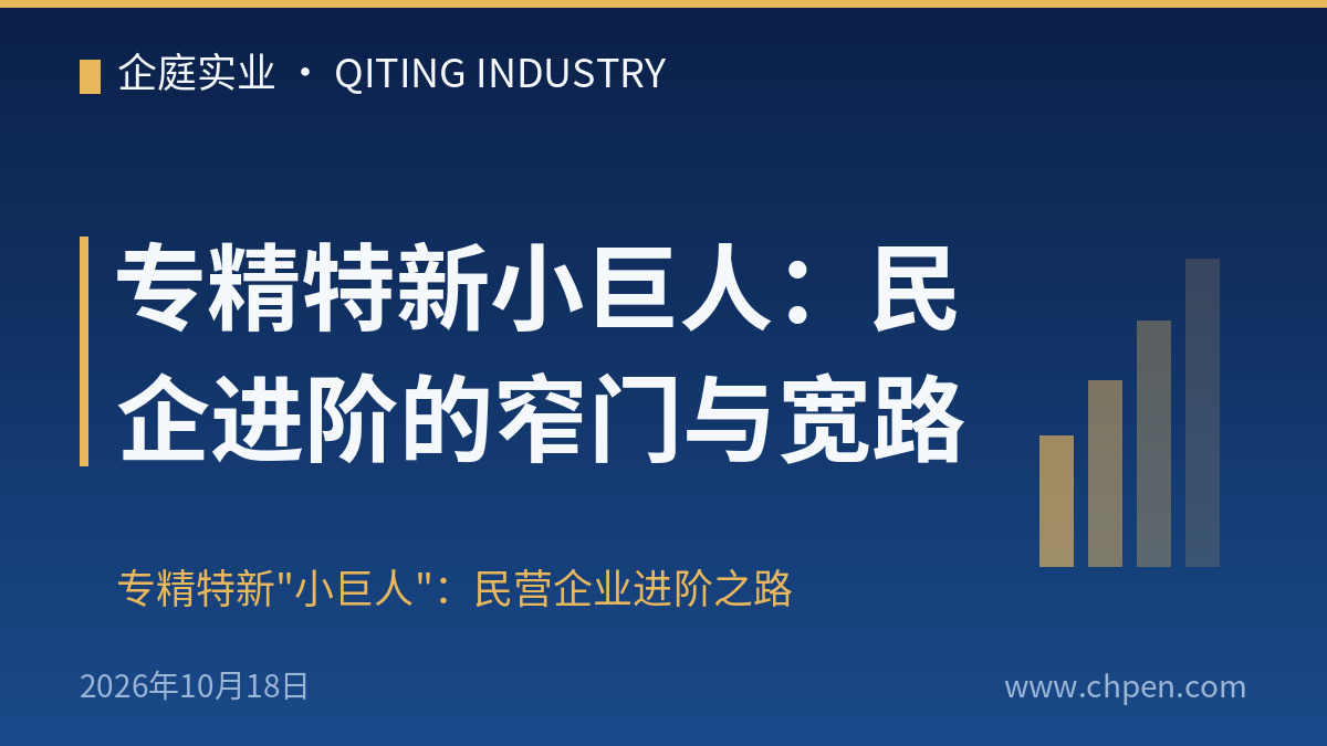 专精特新小巨人:民企进阶的窄门与宽路