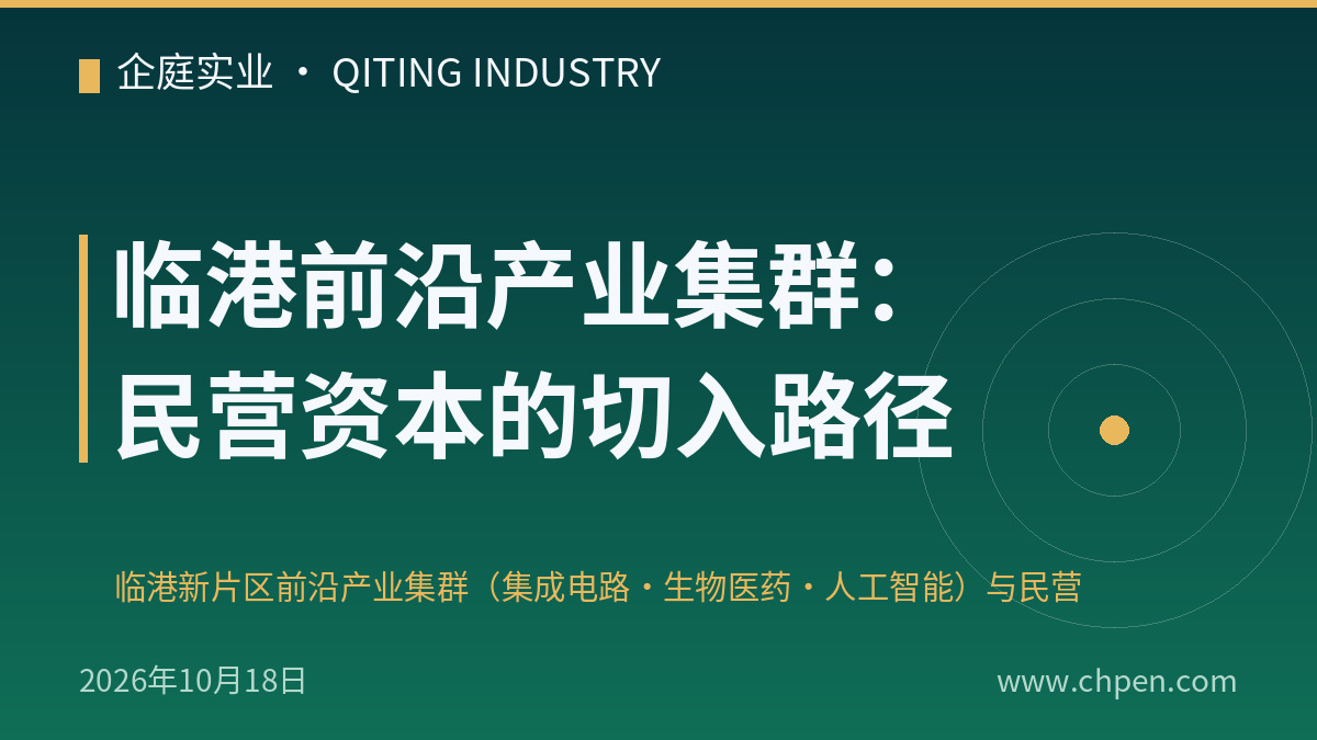 临港前沿产业集群:民营资本的切入路径
