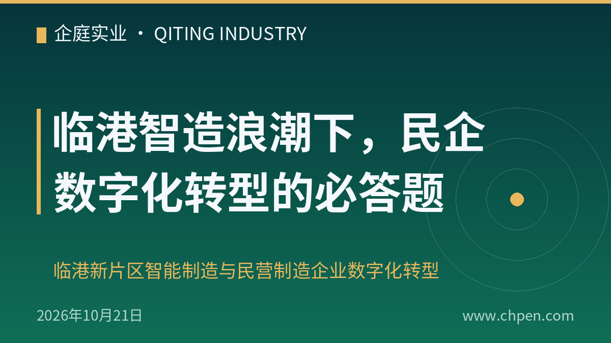 临港智造浪潮下,民企数字化转型的必答题